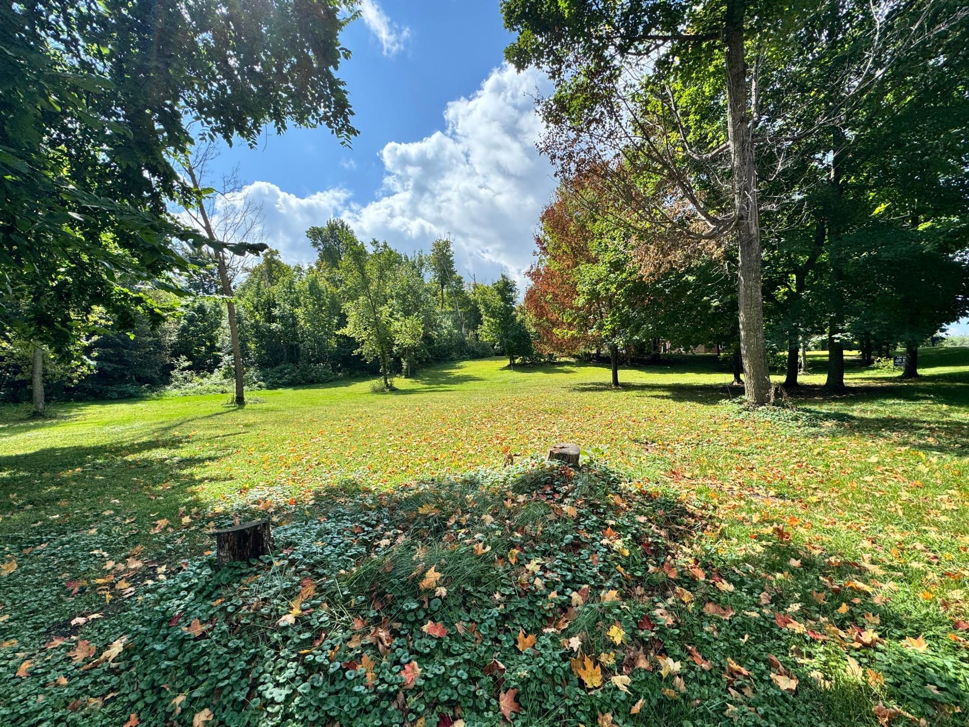 XXX 365th Street, Ottertail, MN 56571