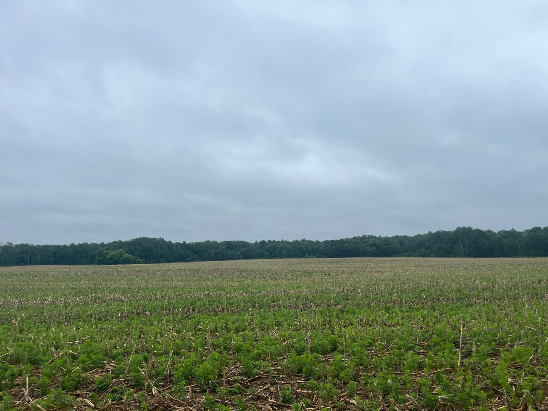 TBD (Lot 2) Hemingway Avenue, North Branch, MN 55056
