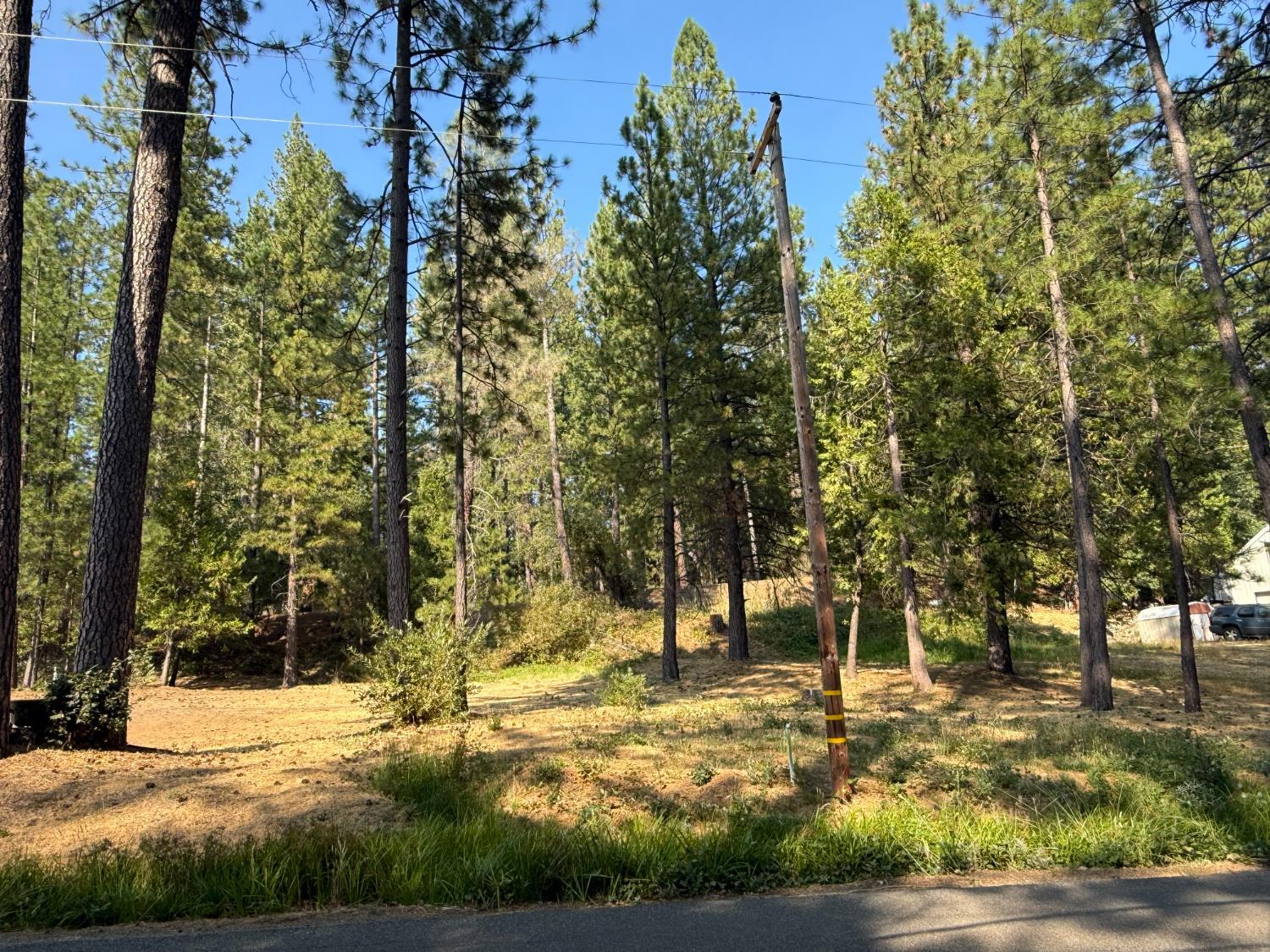 16970 Old Downieville Hwy, Nevada City, CA 95959-2015