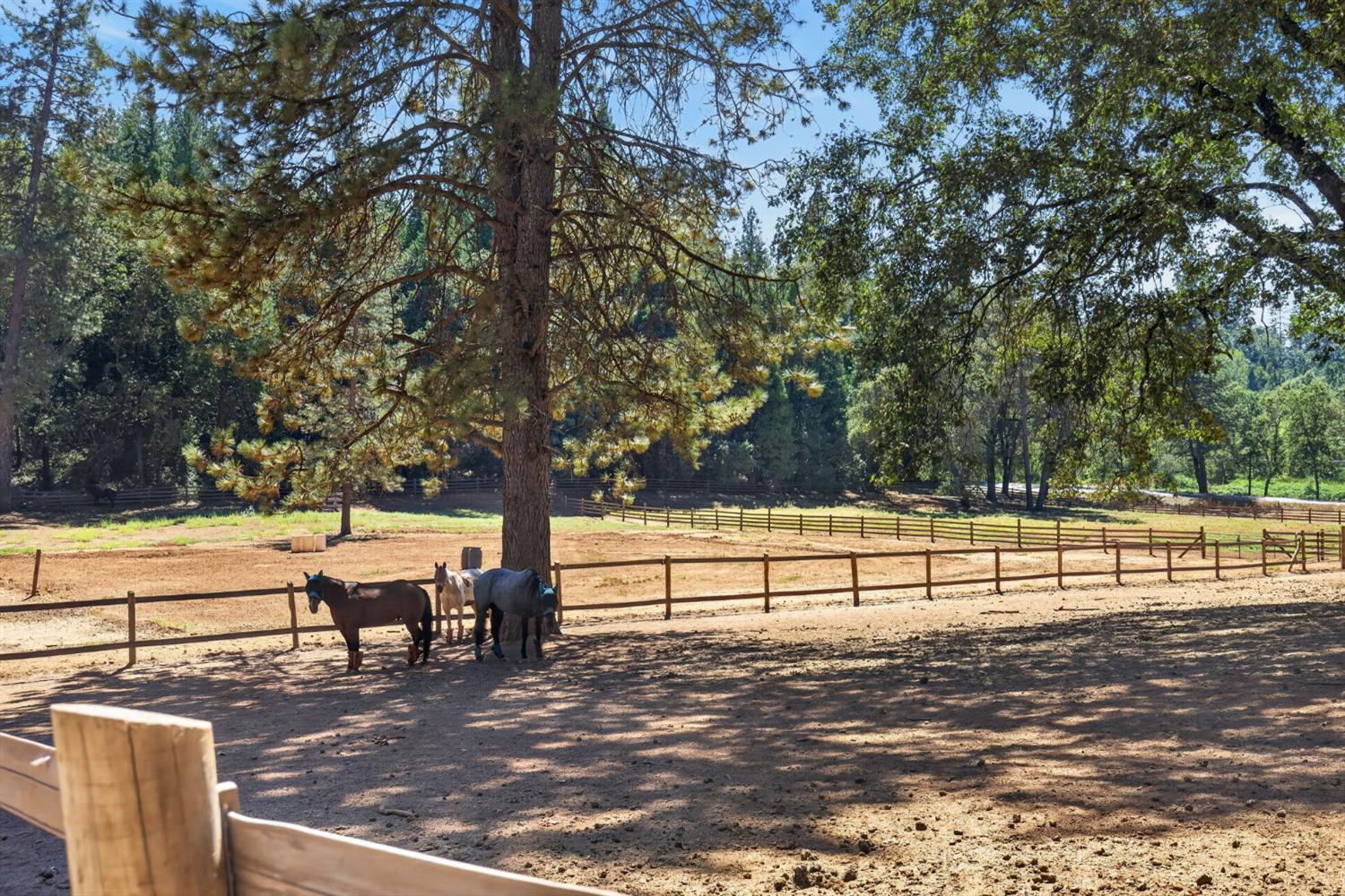 7560 State Highway 193, Georgetown, CA 95634-9641