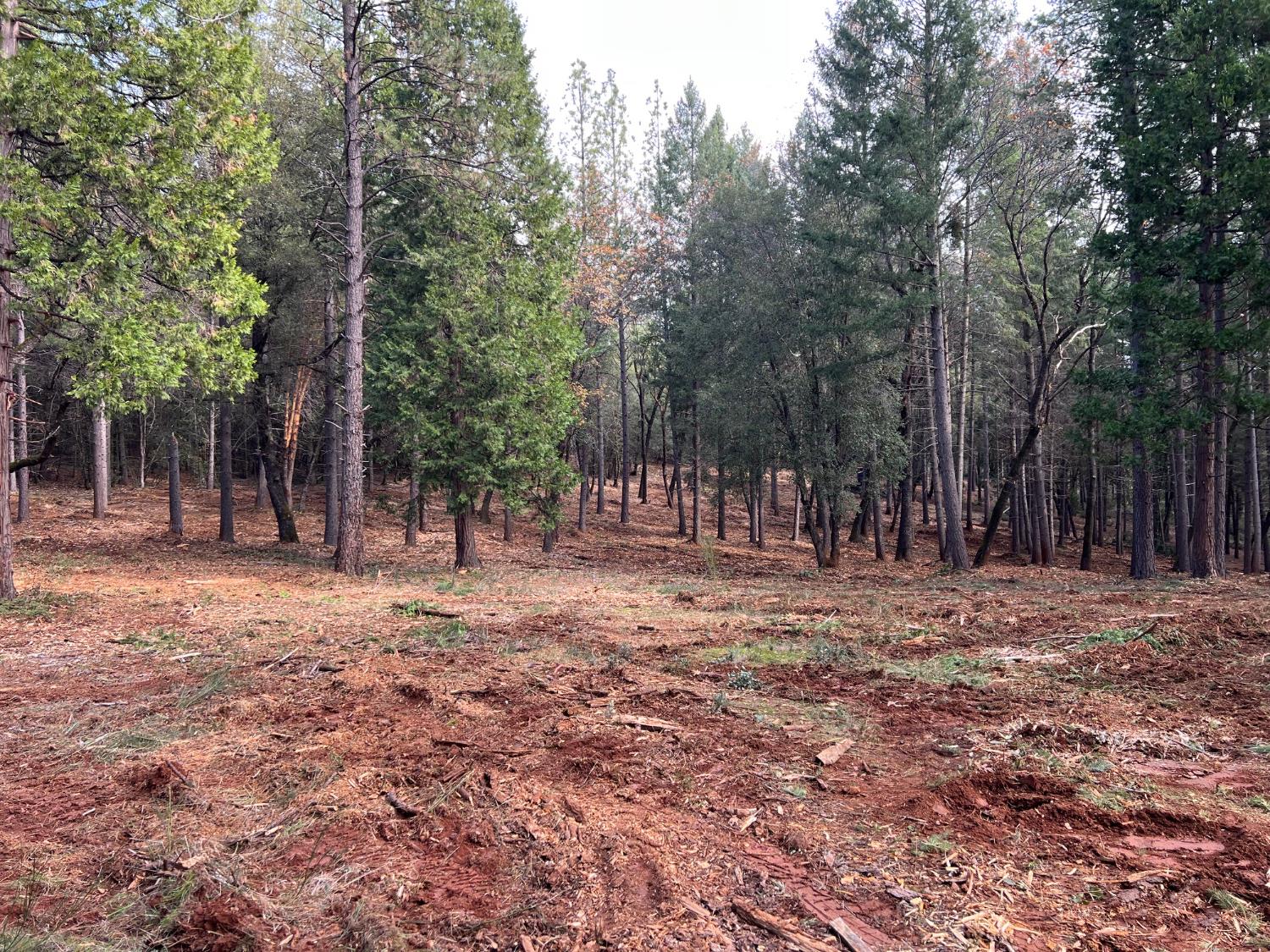 47-Acres Bear Creek Rd, Garden Valley, CA 95633