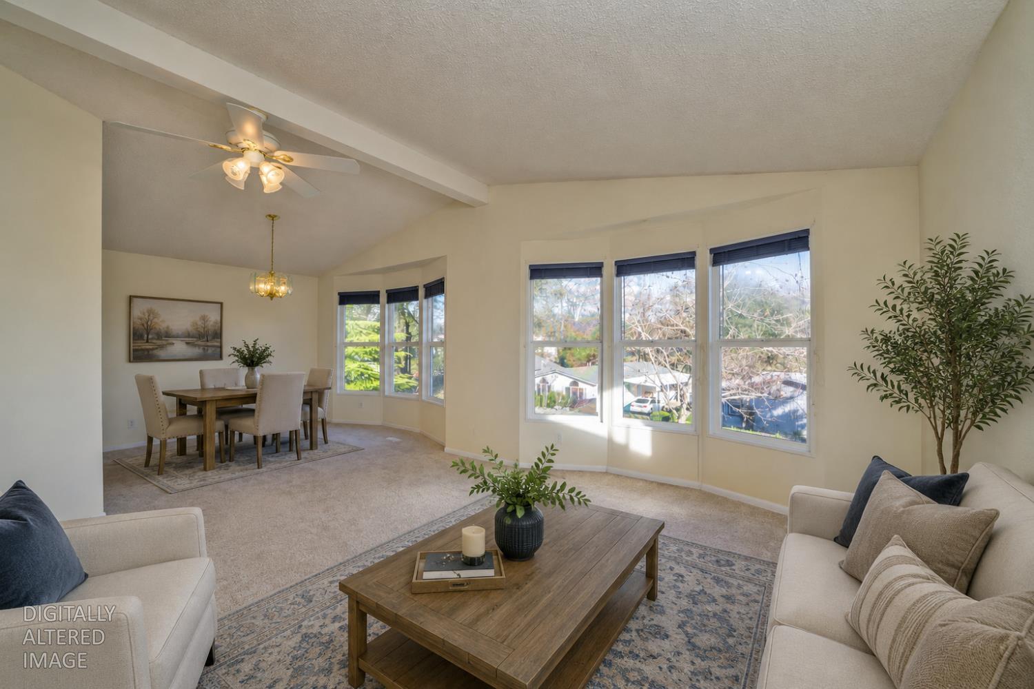 4390 Patterson Dr #281, Diamond Springs, CA 95619-9466