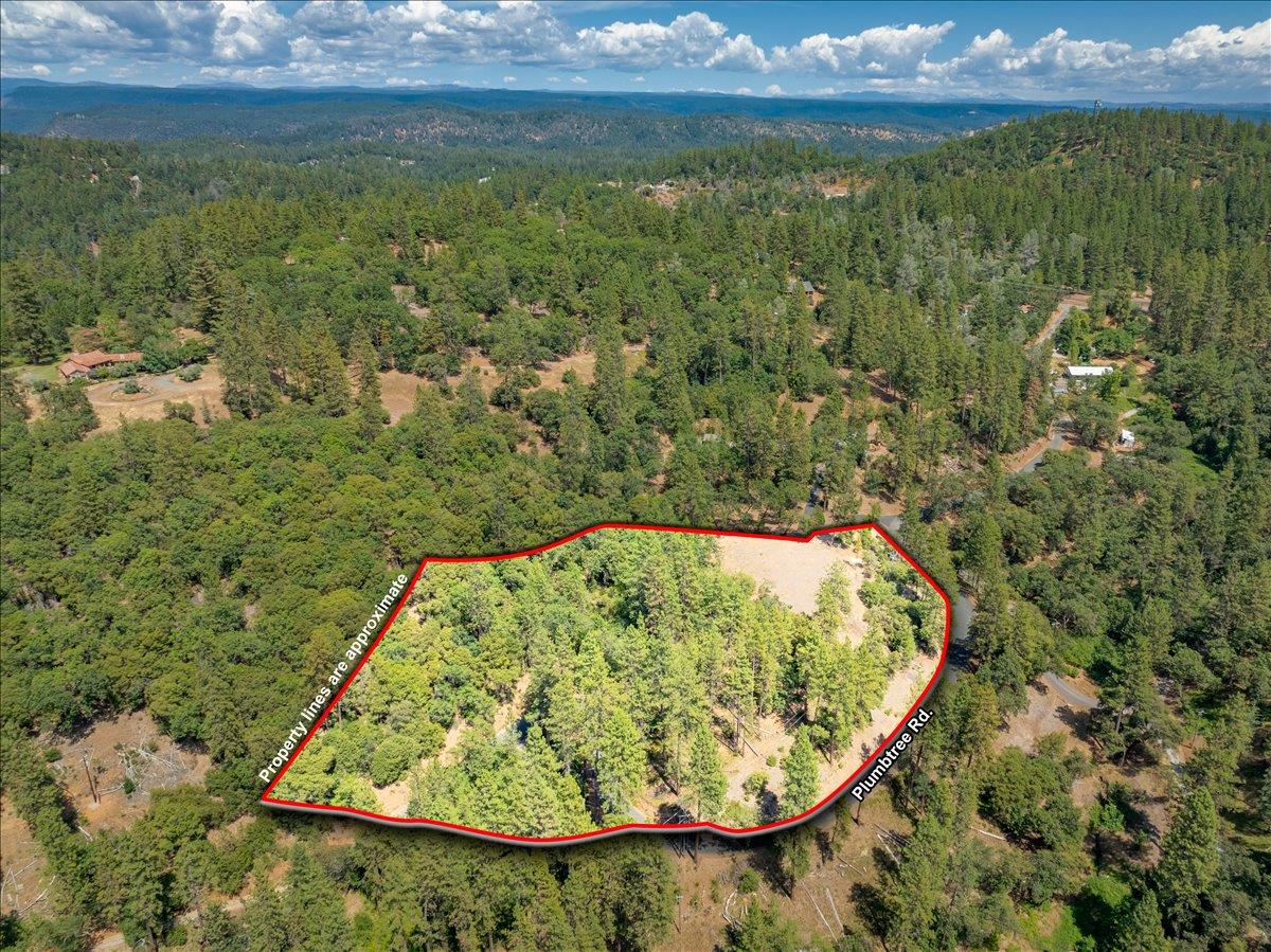 22600 Plumtree Rd, Colfax, CA 95713-9531