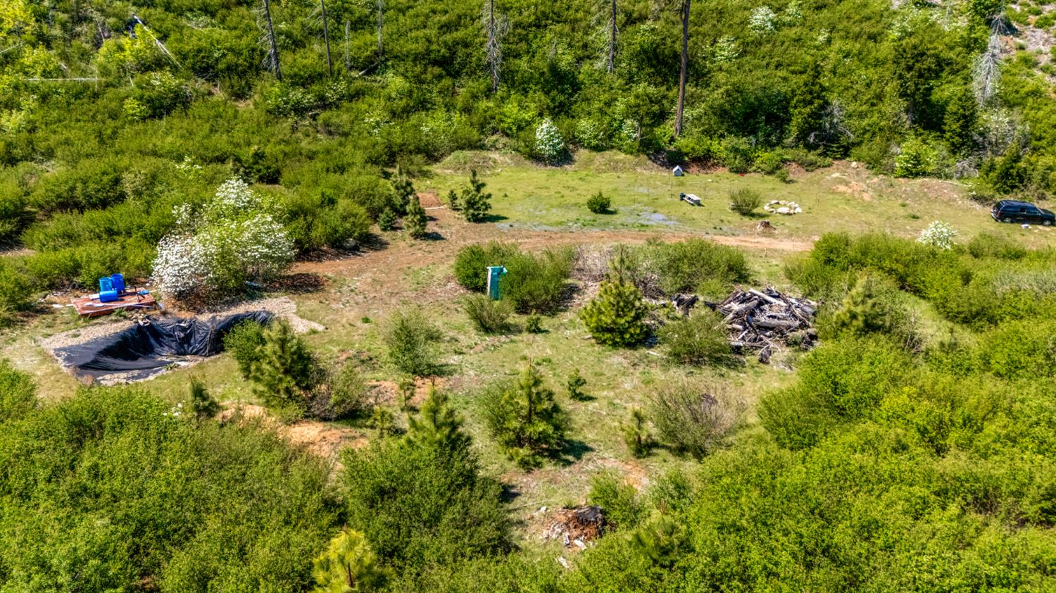 40-Acres Wentworth Springs Rd, Georgetown, CA 95634