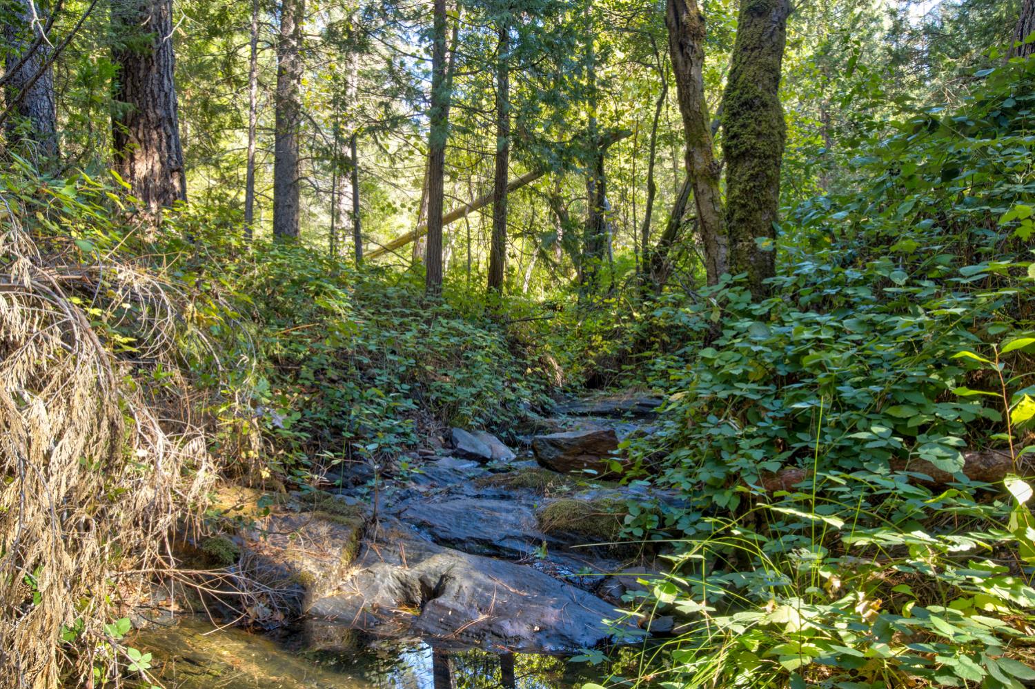 26672 Old Loggers Ln, Colfax, CA 95713
