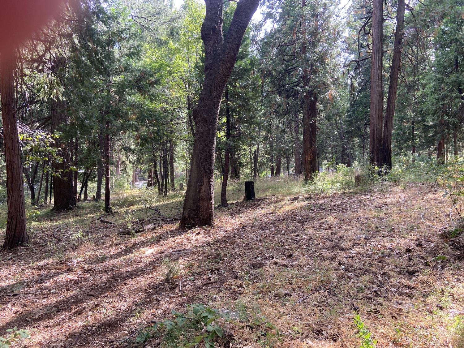 5869 Pony Express Trl, Pollock Pines, CA 95726