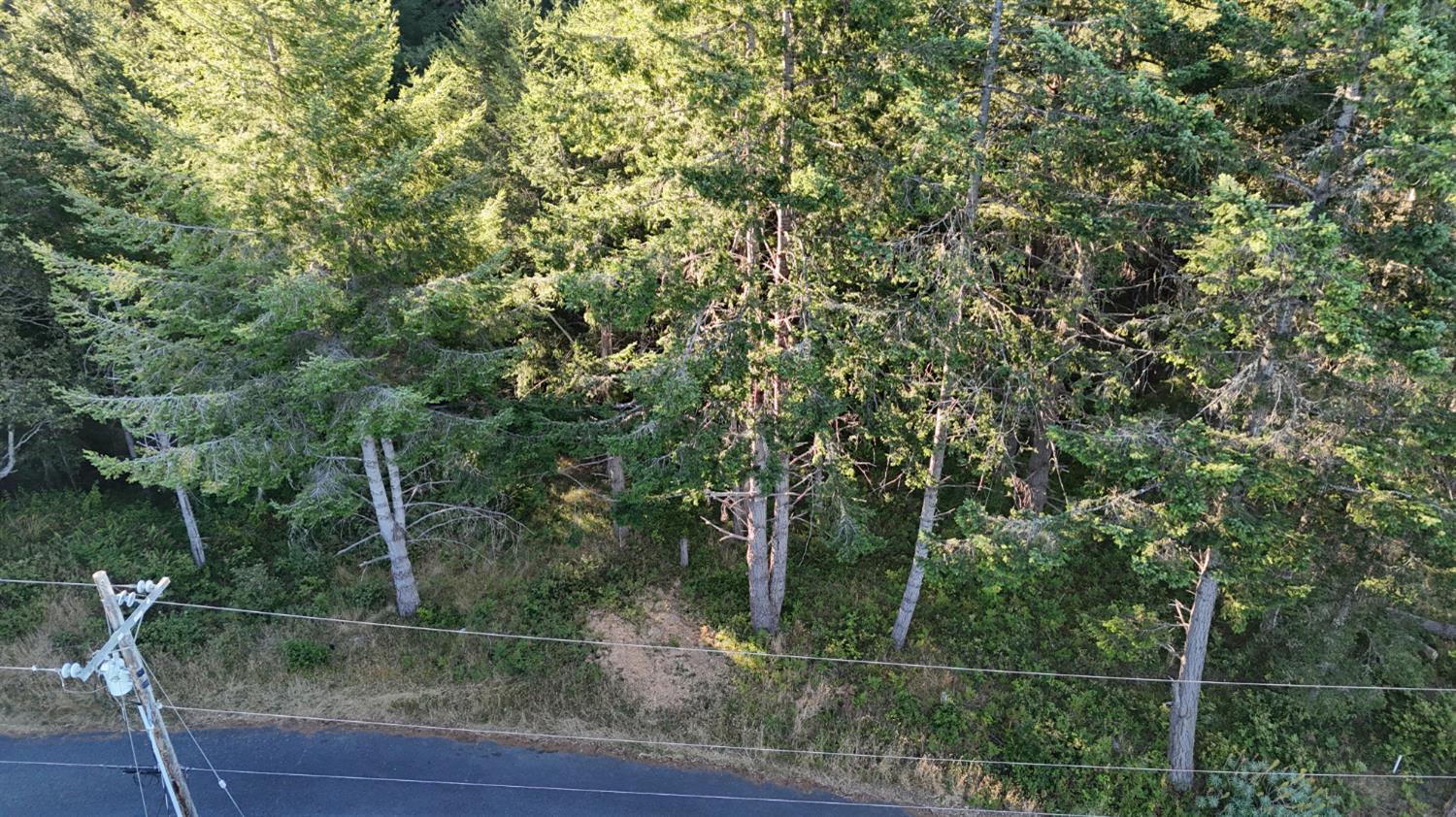 19 Spur Ct, Whitethorn, CA 95589-9108