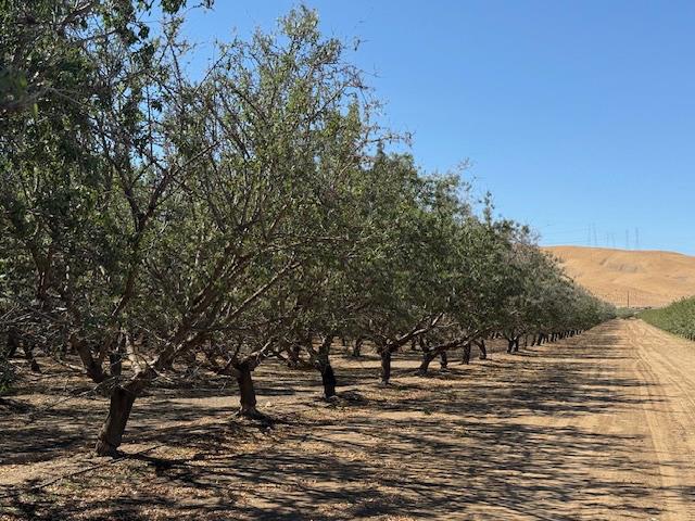 HWY 5, Patterson, CA 95363