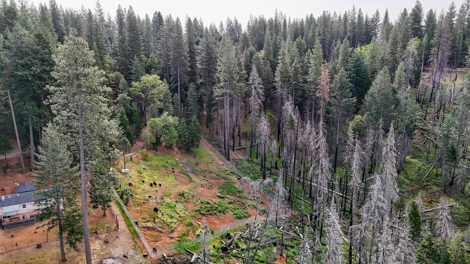 5194 Woodhaven, Grizzly Flats, CA 95636