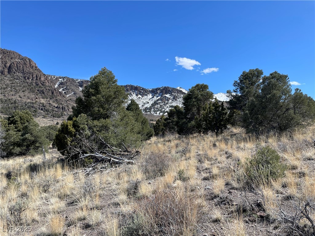 P-15 Butte Valley