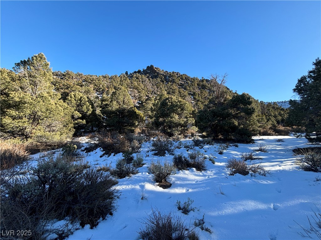 P-19 Butte Valley