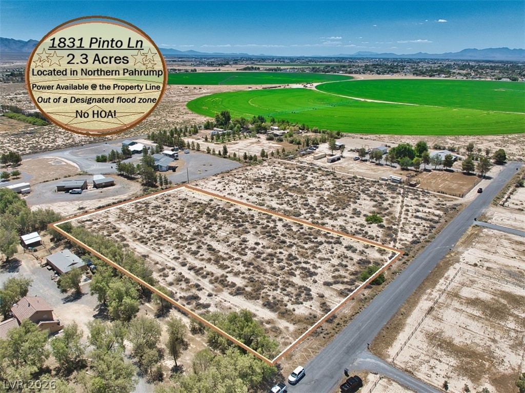 1831 Pinto Lane