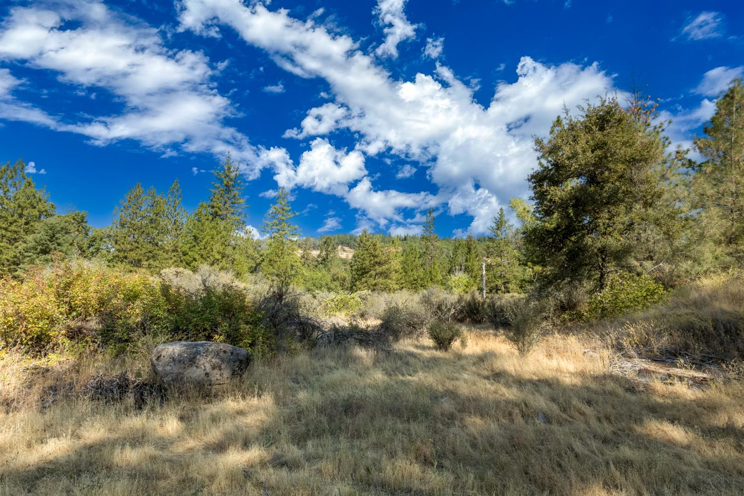 35-Acres Amapola Ct, Pollock Pines, CA 95726