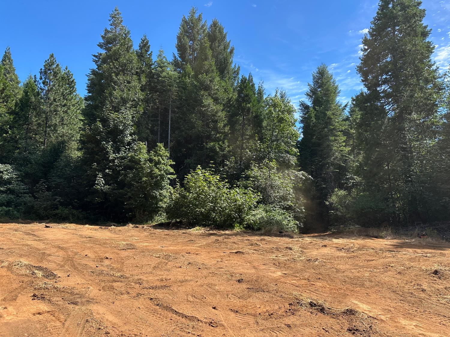 Caine, Alta, CA 95701