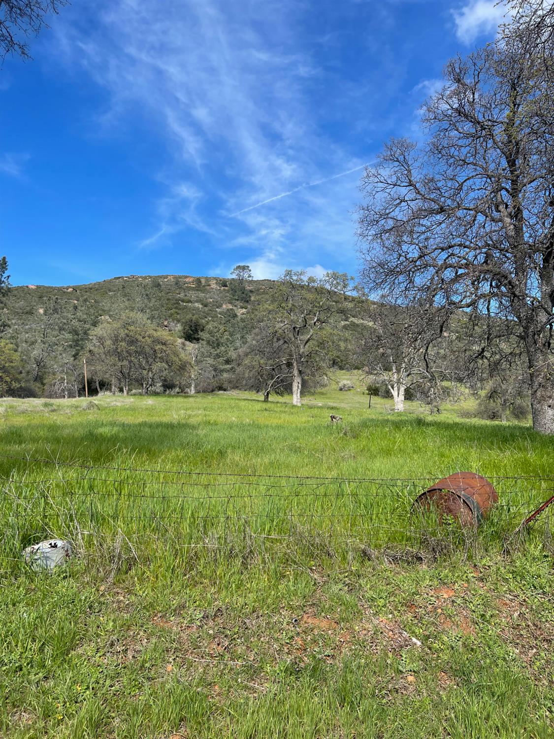 4223 Penon Blanco Rd, Coulterville, CA 95311-9702