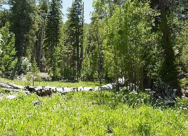 0 Deer Creek