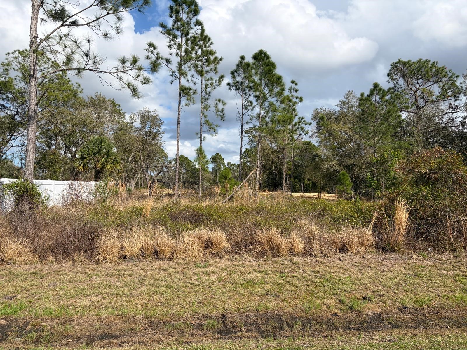 202 SPOONBILL DRIVE