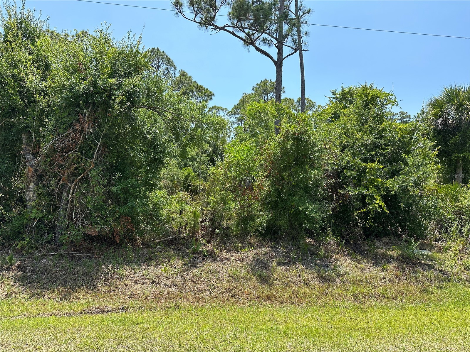 12091 GREEN GULF BOULEVARD