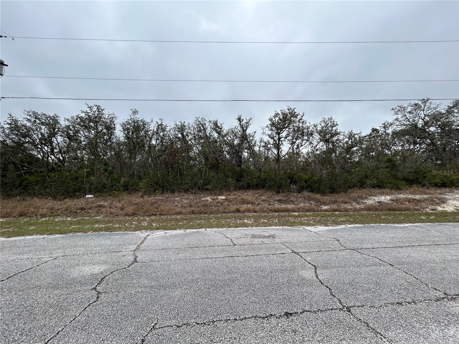 509 SARASOTA LANE