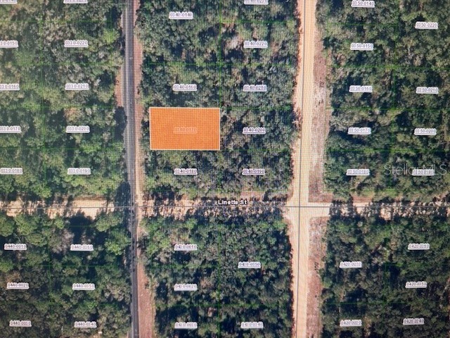 XX THERESA AVENUE