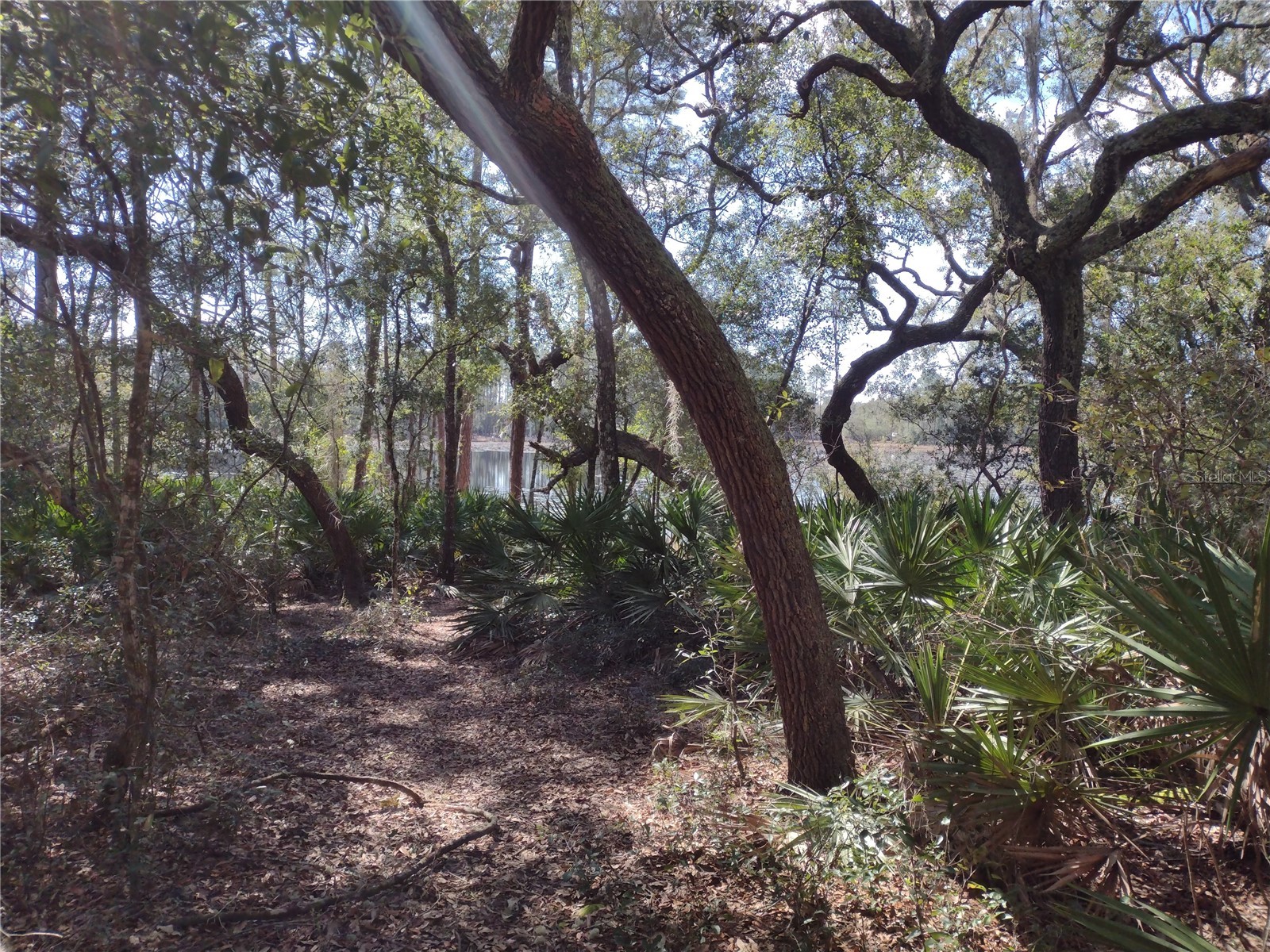 89 TUCKER LAKE ROAD