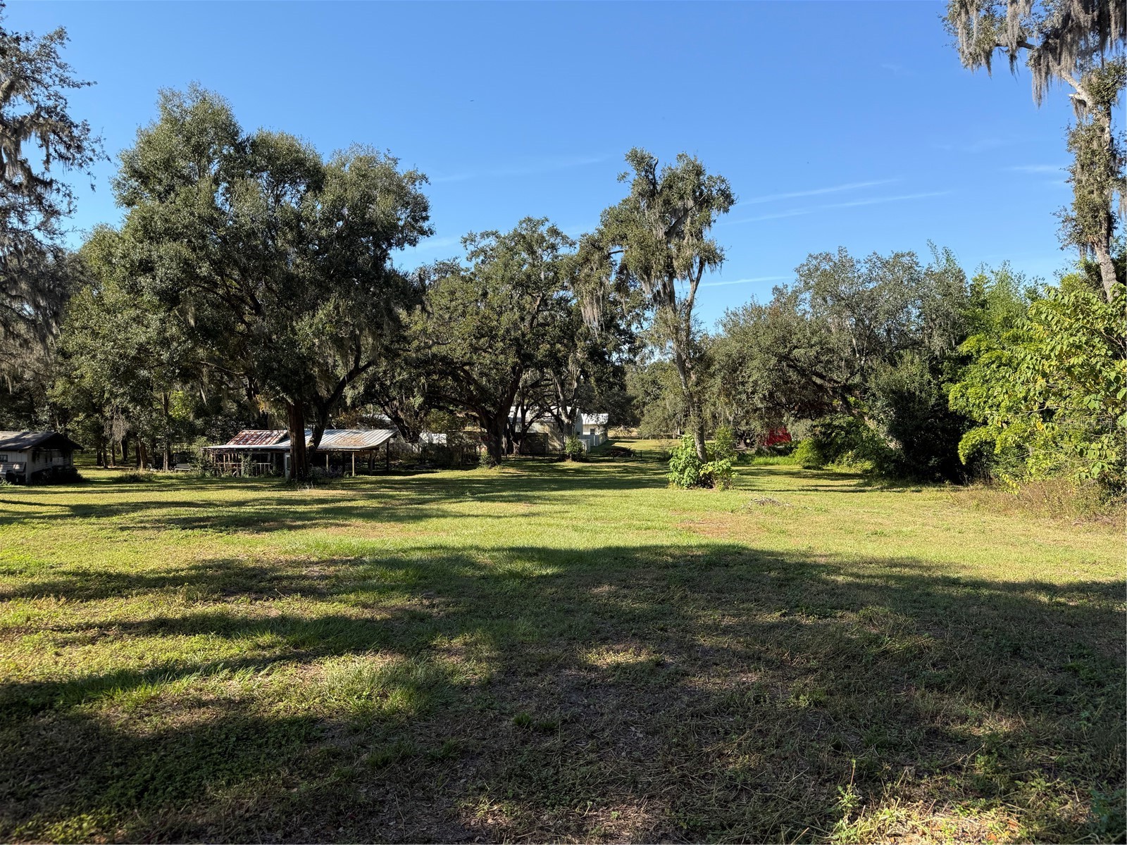 TRACT 6 WOODY LANE