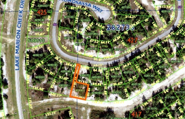 1352 HOMOSASSA DRIVE