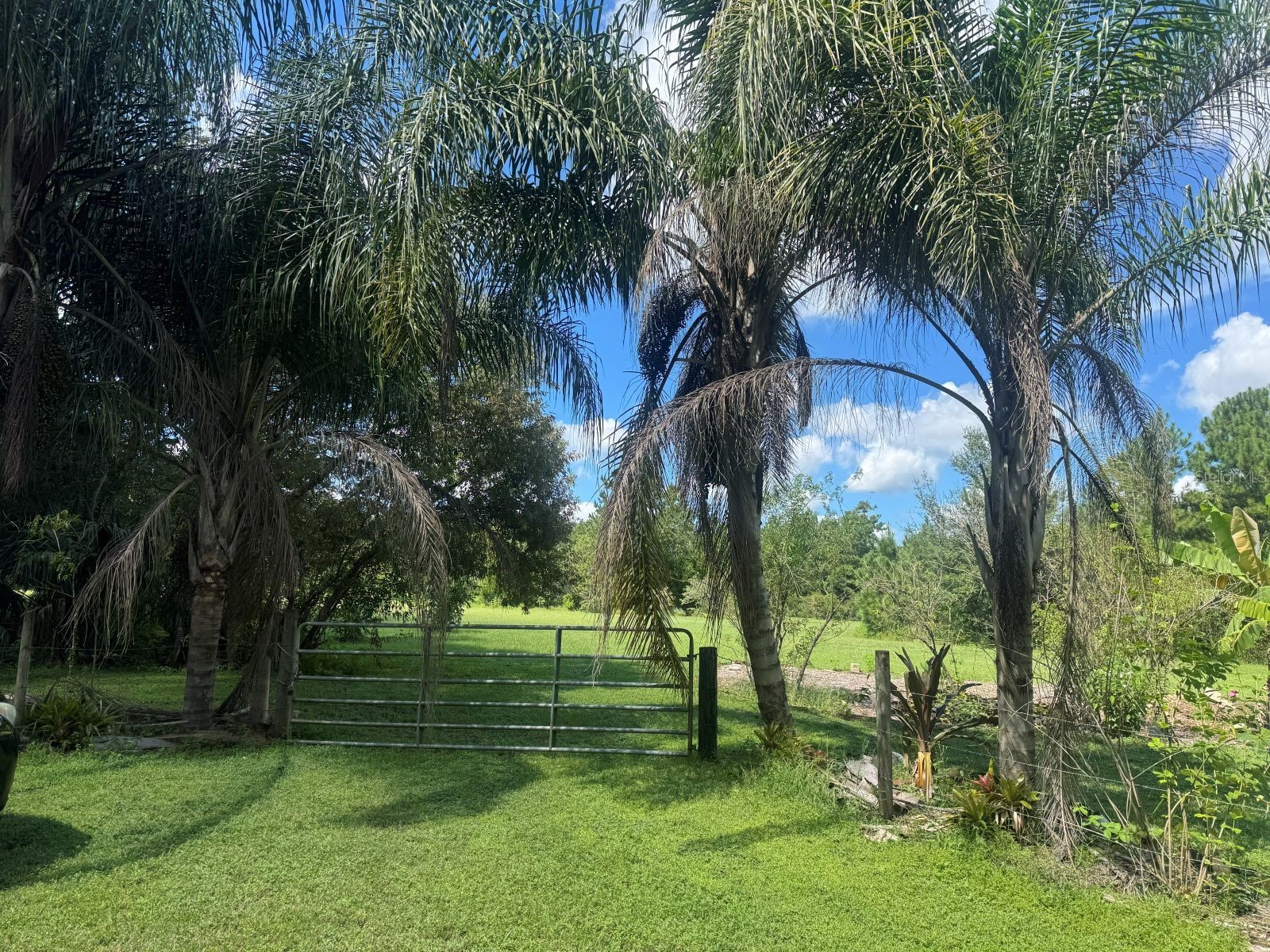 MECCA HAMMOCK TRAIL