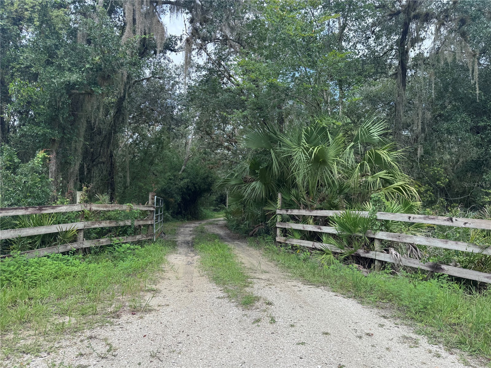 2963 SW ARMADILLO TRL