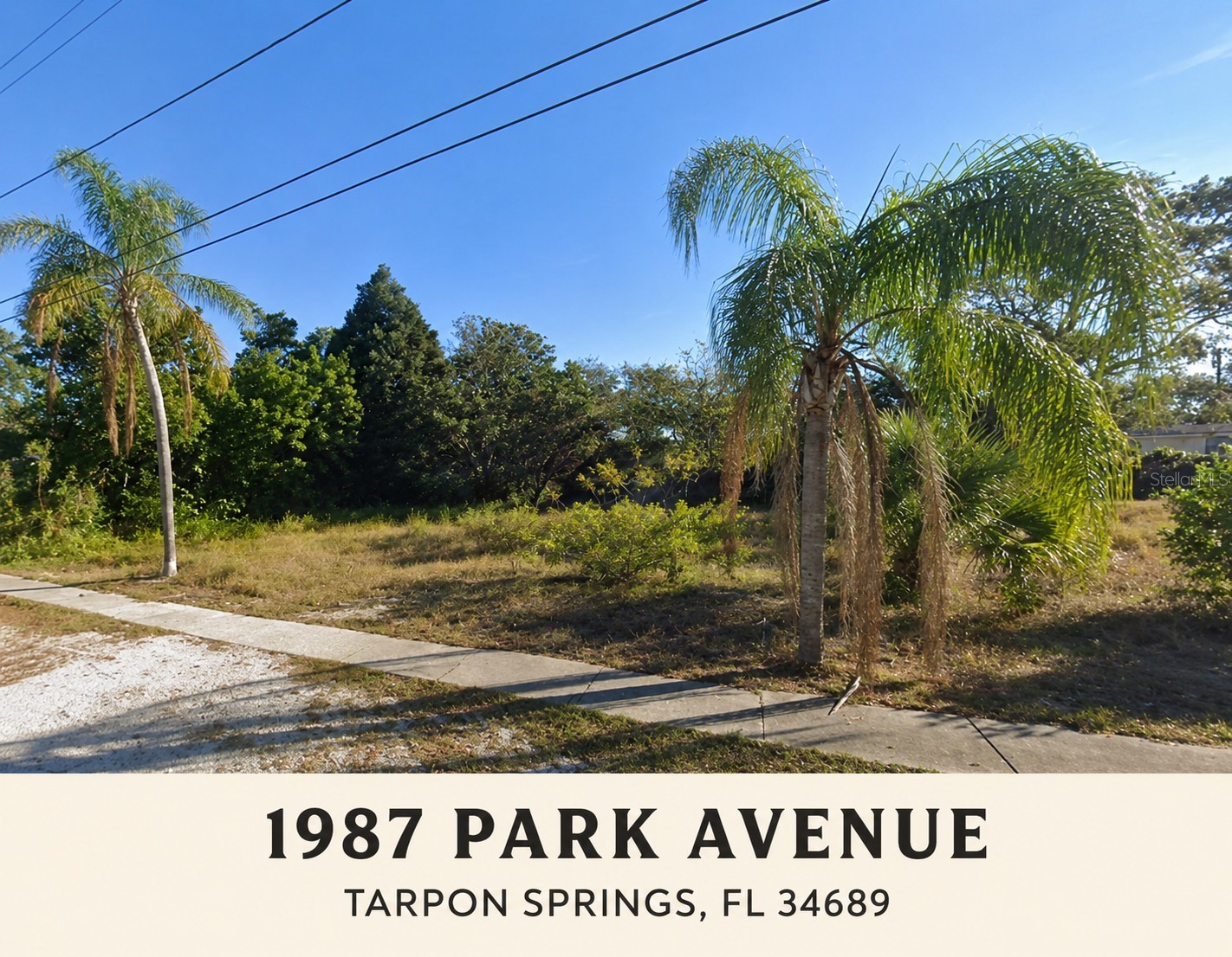 1987 PARK AVENUE