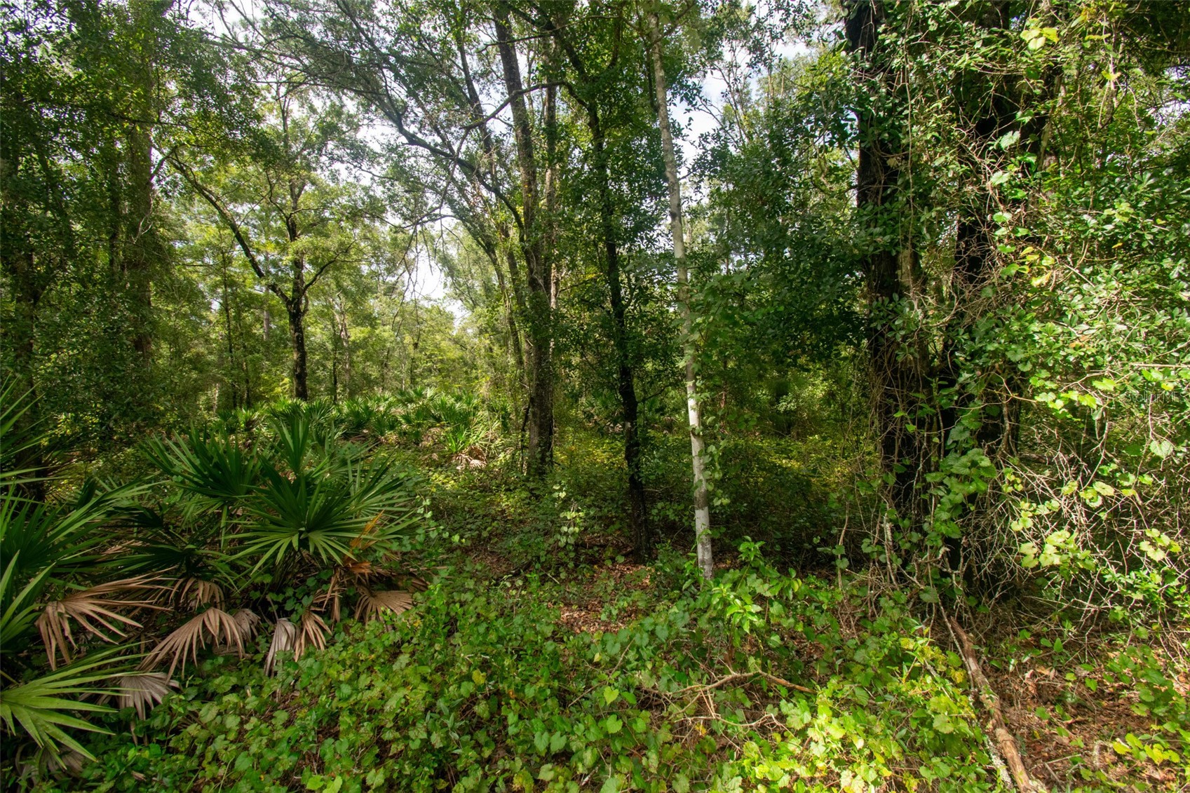 4730 PALATKA BOULEVARD
