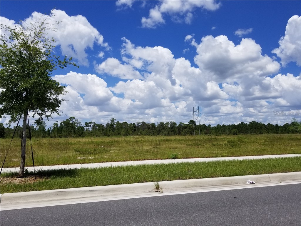 APOPKA VINELAND ROAD