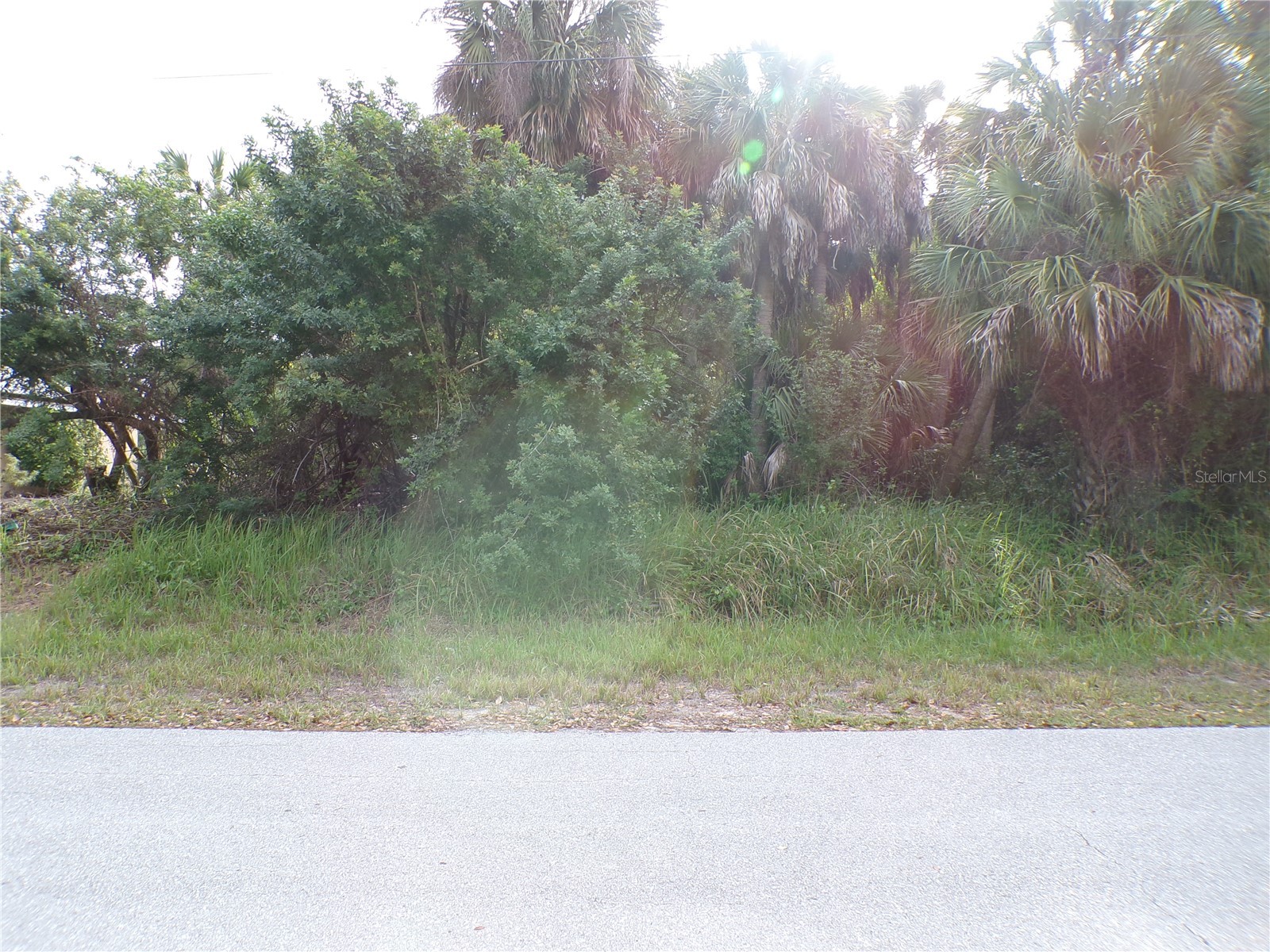 164 FERDON CIRCLE
