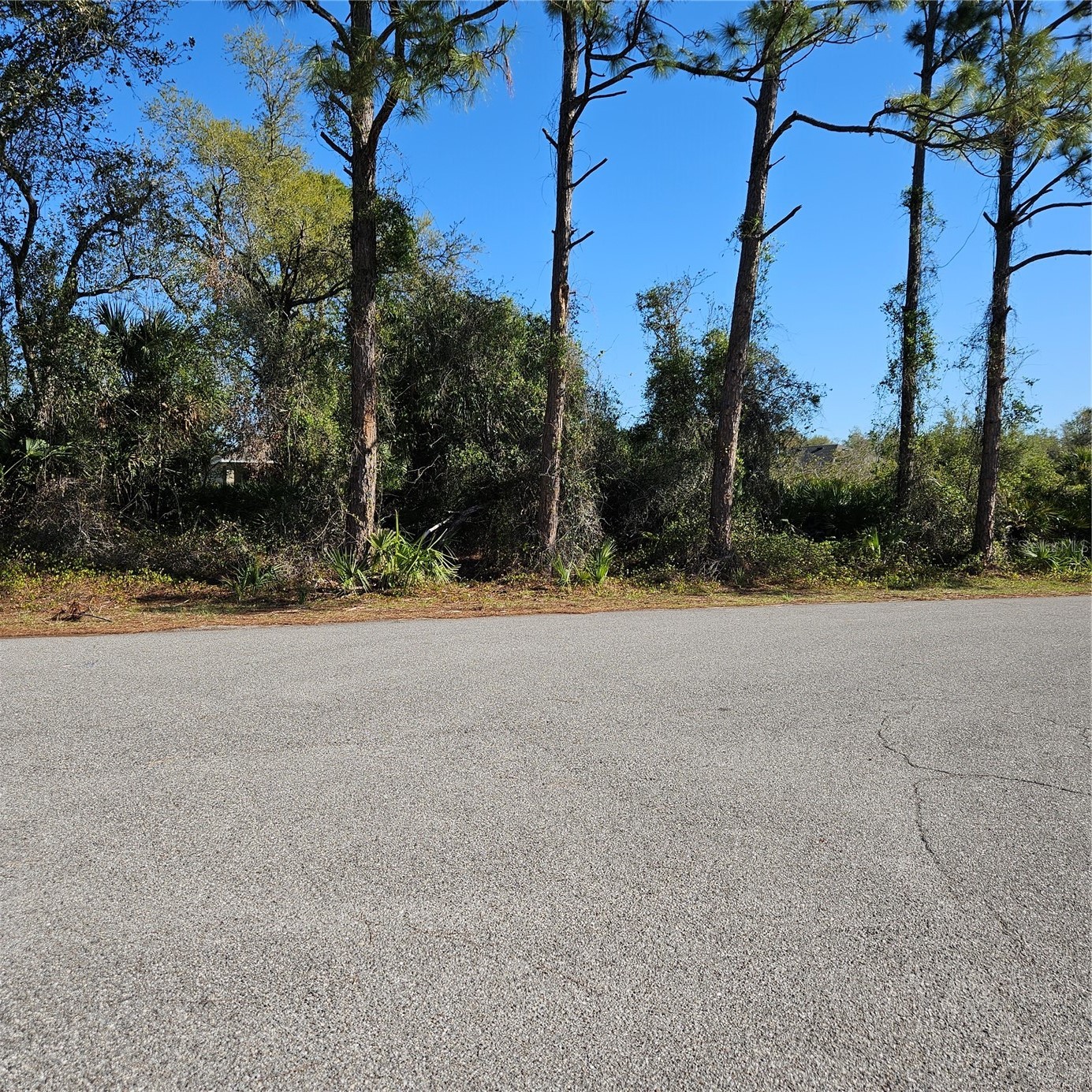 JANARO ROAD