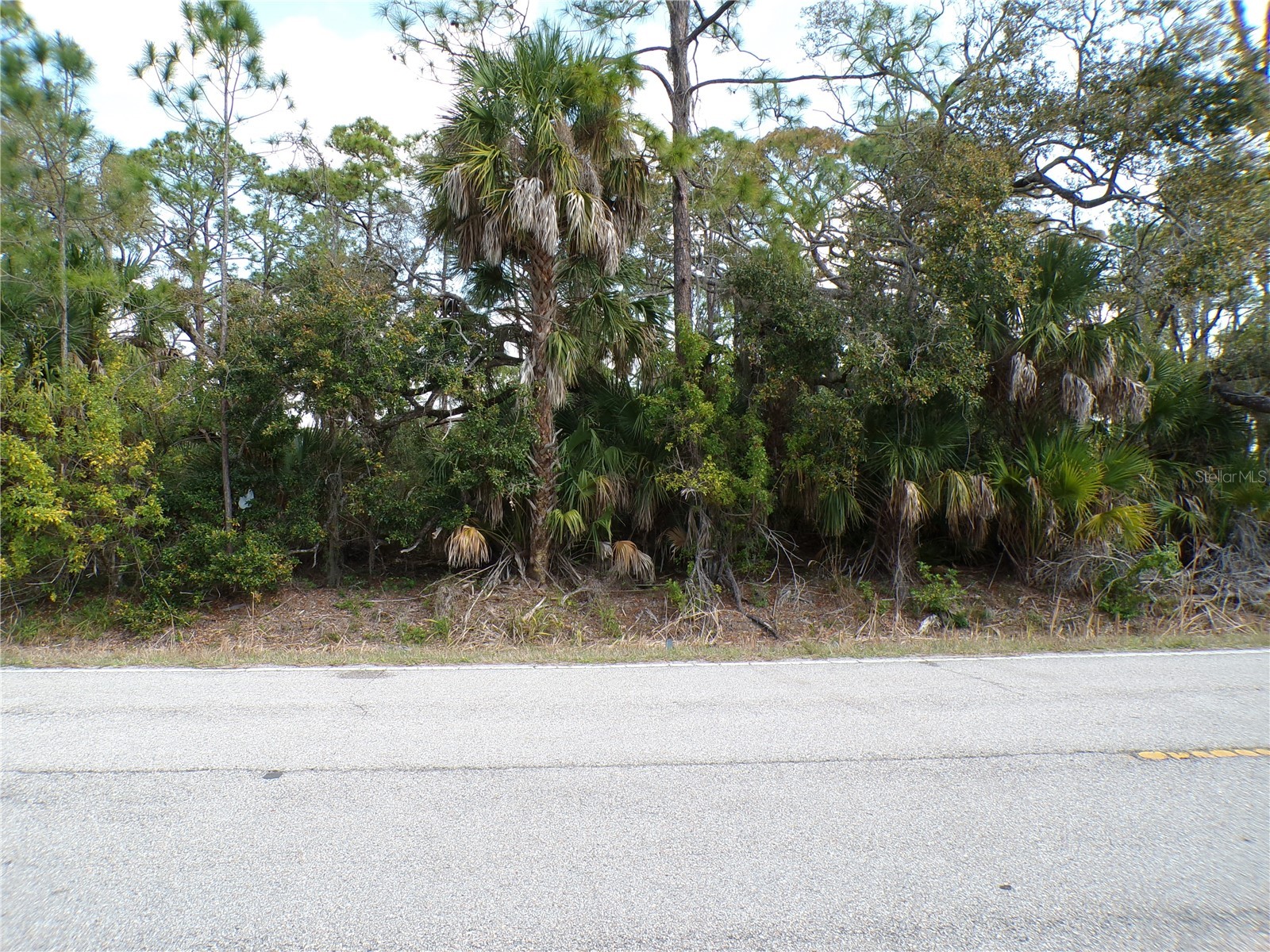 1316 BISCAYNE DRIVE