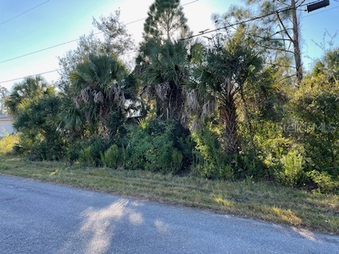 BOBOLINK STREET