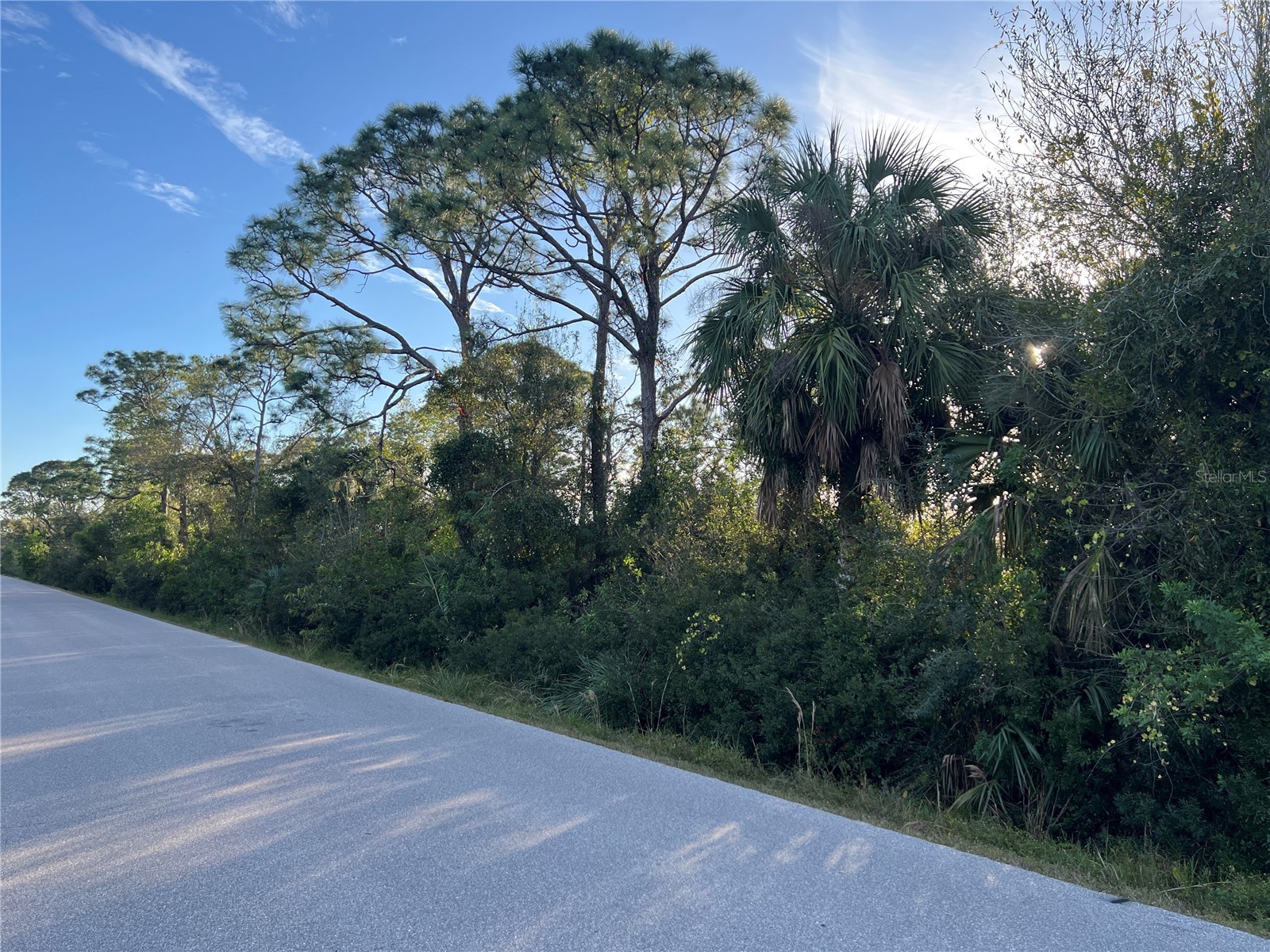 11197 / 11205 PINETRAIL ROAD