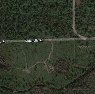 MAGNOLIA ROAD