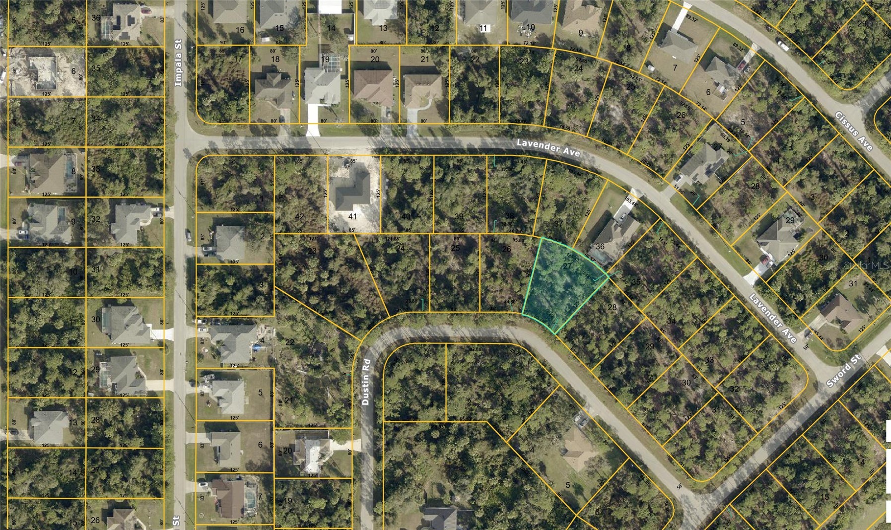 DUSTIN ROAD