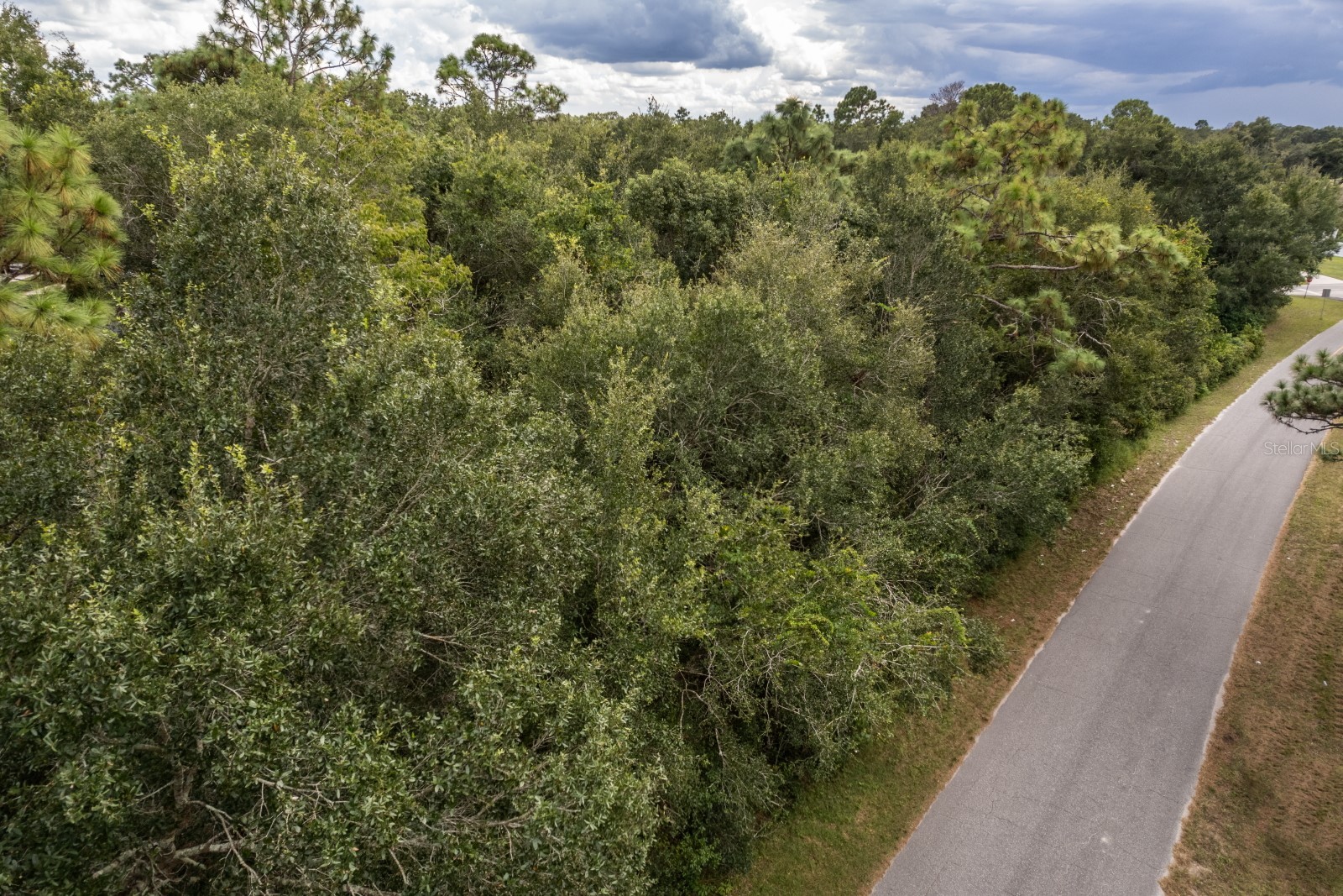 INTERLACHEN DRIVE