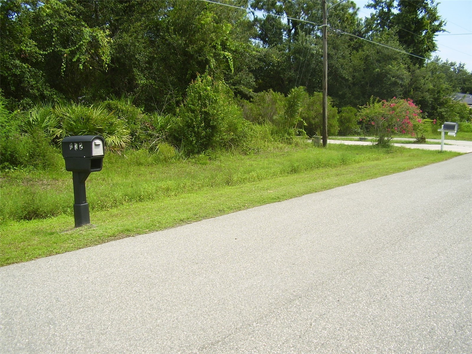 431 DOVE DRIVE