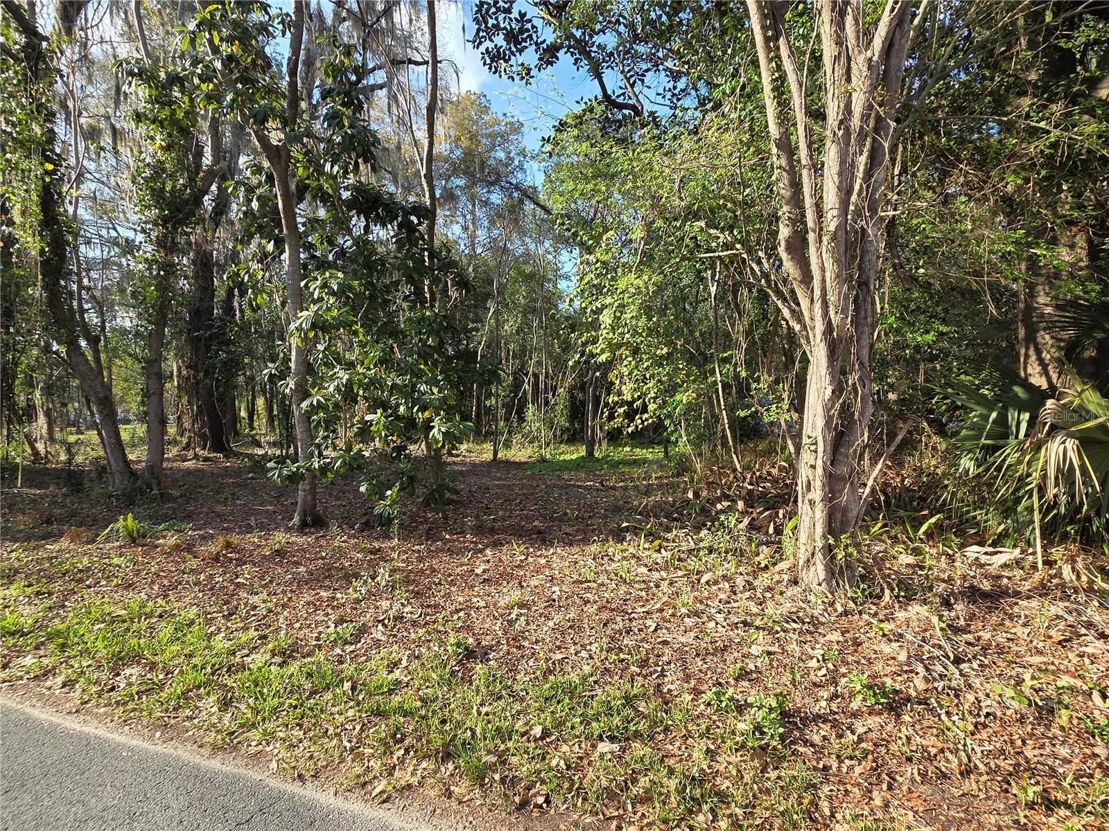 (Parcel 3) 214 NE 13TH AVENUE