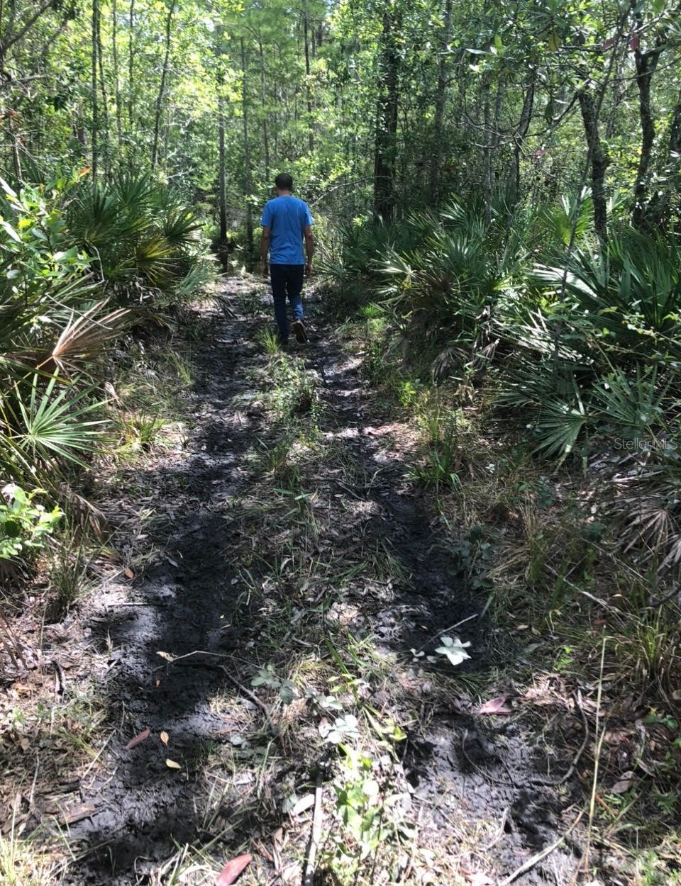 2449 OLD TRAIN ROAD