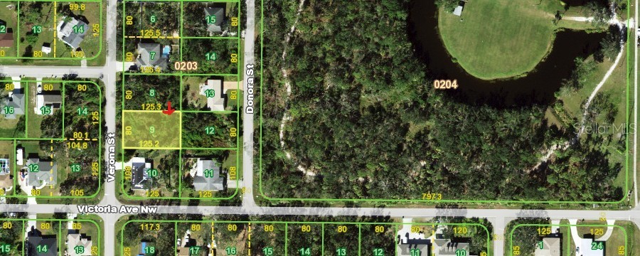 409 VERONA STREET