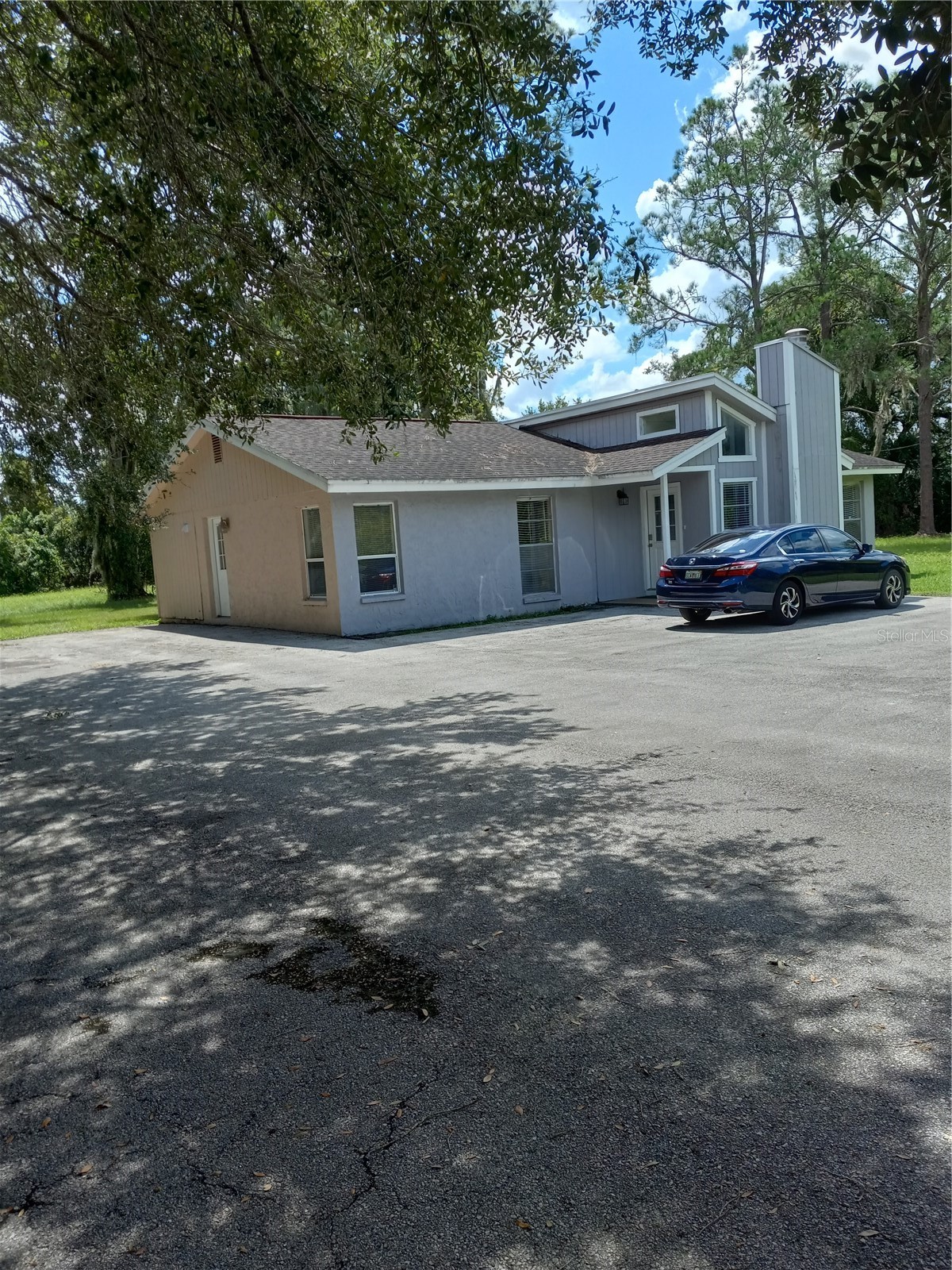 2902 W LUTZ LAKE FERN ROAD