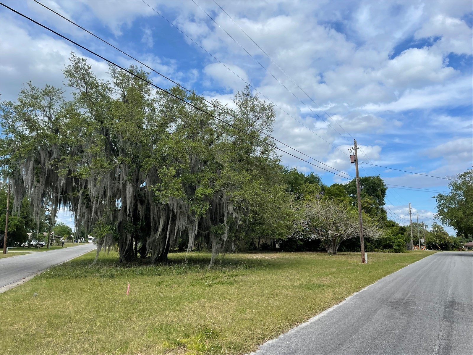 CLARA AVENUE