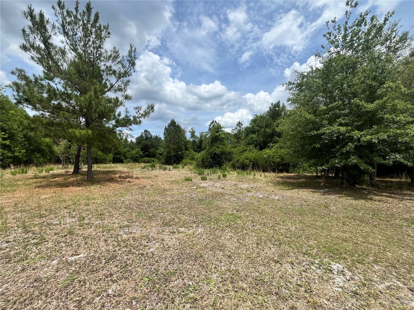 0 NW COUNTY ROAD 229