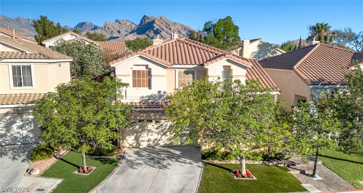 2025 Shining Feather Lane