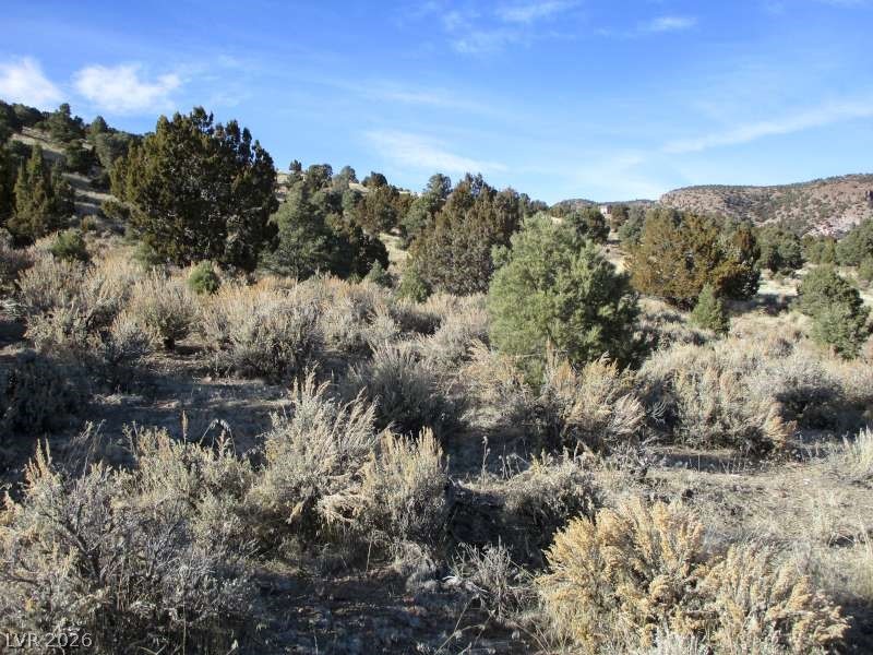 NV Hwy 322 (10.012 Ac)