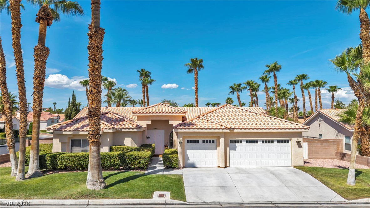 5569 Wild Olive Street